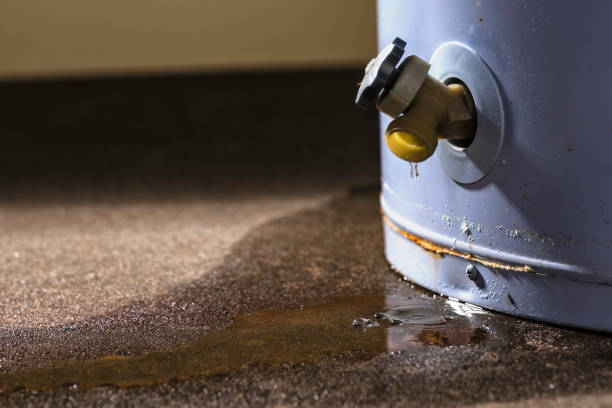 Trusted Homerville, GA Water damage restoration Experts