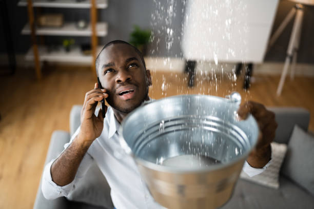 Best Flood damage cleanup  in Homerville, GA