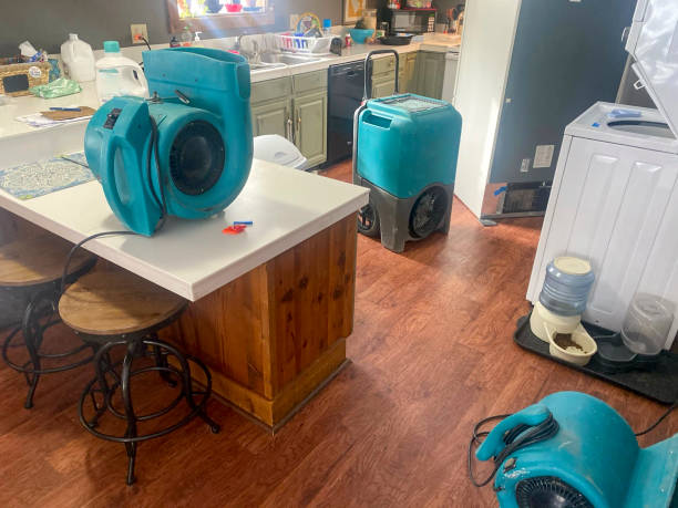Best Commercial water damage restoration  in Homerville, GA