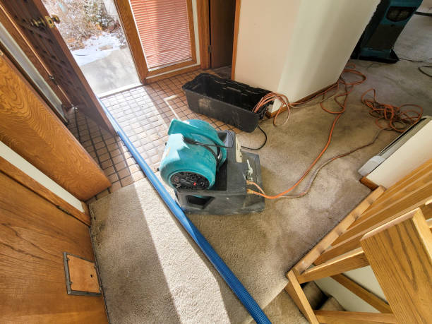 Best Water damage repair service  in Homerville, GA