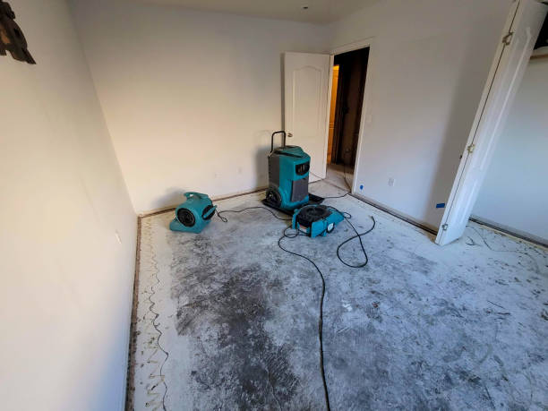 Homerville, GA Water damage restoration Company