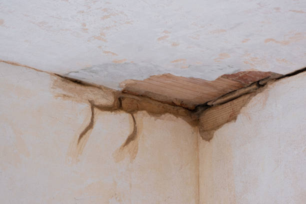 Best Basement water damage restoration  in Homerville, GA