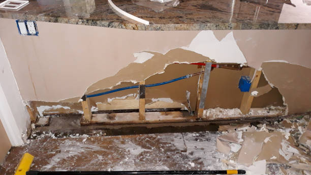 Best Water damage restoration near me  in Homerville, GA