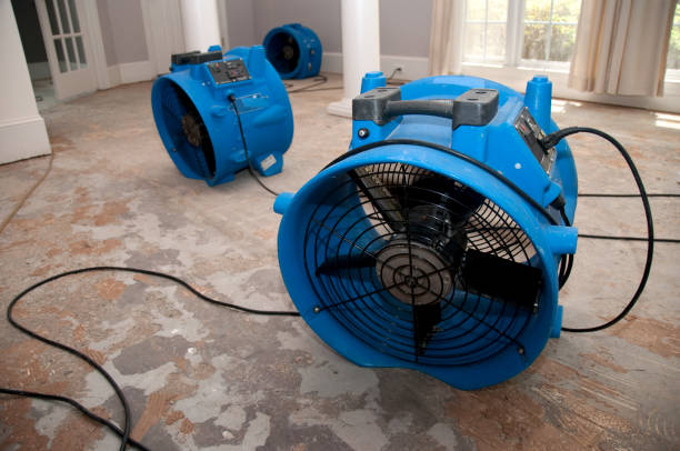 Best Emergency water damage restoration  in Homerville, GA