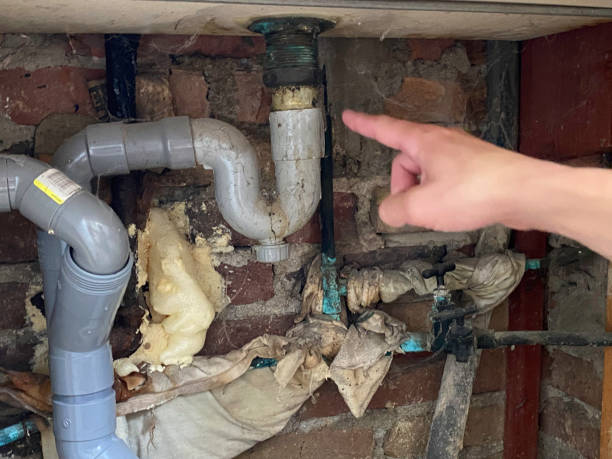 Best 24-hour water damage restoration  in Homerville, GA