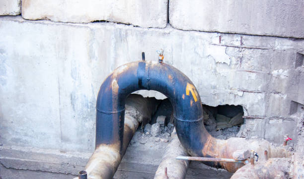Best Flood restoration services  in Homerville, GA