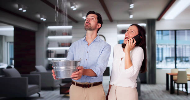 Best Water damage cleanup near me  in Homerville, GA